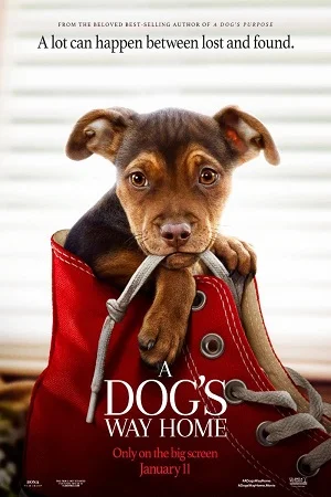 A dogs way home 2019 poster - VEGAMovies, Vegamovies nl