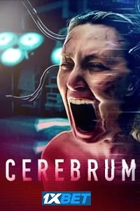 Cerebrum 3