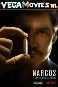 Download narcos season 1 dual audio hindi english 720p - VEGAMovies, Vegamovies nl