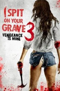 I spit on your grave vengeance is mine hindi dubbed