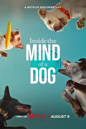 Inside the mind of a dog