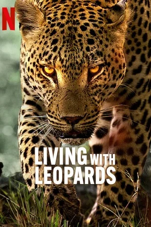 Living with leopards 2024 2