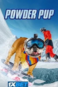 Powder pup