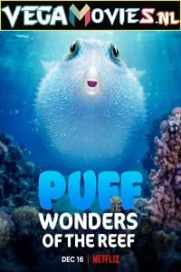 Puff wonders of the reef 2021 - VEGAMovies, Vegamovies nl