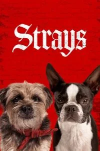 Strays 2023 english