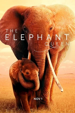 The elephant queen 2019 - VEGAMovies, Vegamovies nl