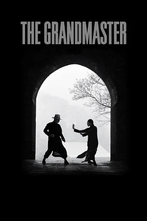 The grandmaster 2013 dual audio vegamoviues