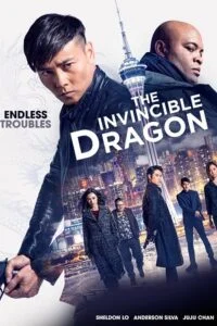 The invincible dragon hindi dubbed