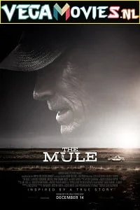 The mule - VEGAMovies, Vegamovies nl