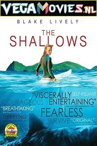 The shallows 2016 720p hevc bluray - VEGAMovies, Vegamovies nl